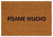 Πατάκι Εισόδου Pisame Mucho LBTAH-AX71029 40x60cm Brown-Black Andrea House 40Χ60