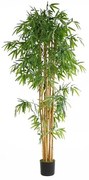 Τεχνητό δέντρο Bamboo NP0076 ύψος  210cm