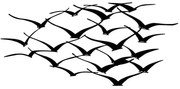 Διακοσμητικό Τοίχου Herd Of Birds 279ENZ1167 120x55cm Black Wallity Metal