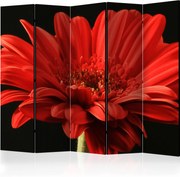 Διαχωριστικό με 5 τμήματα - Red gerbera flower II [Room Dividers]