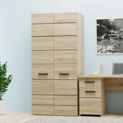 Ντουλάπα Δίφυλλη Solo Sonoma-Wenge 91x58x197cm TO-SOLO2D