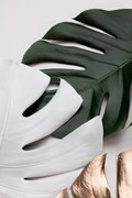 Εικονογράφηση Monstera Colors 01, Studio Collection