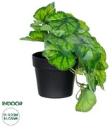 Artificial Garden GREEN BEGONIA PLANT 20949 Διακοσμητικό Φυτό Πράσινη Μπιγόνια Φ23 x Υ16cm Globostar 20949