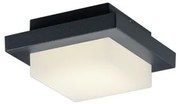 Πλαφονιέρα Ανθρακί 14xH14cm Εξ.Χώρου IP54 LED 3,5w 3000K 330lm Trio Lighting Hondo 228960142