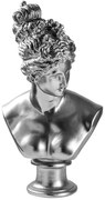 Διακοσμητική Προτομή 565TNL1350 30x23x55cm Silver Aberto Design Πολυέστερ