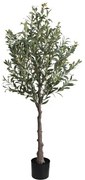 OLIVE TREE NP439_150 ΥΨΟΣ 150cm NewPlan