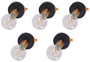 SE 138-BK (x5) Tolo Packet Black and bronze light+ HOMELIGHTING 77-8857