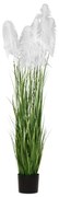 Φυτό Pampas Grass Λευκό iliadis Φ23x220εκ. 85075