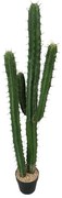 Τεχνητό Φυτό Εφόρμπια 0201-6 125cm Green Supergreens Πολυαιθυλένιο