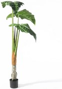 Τεχνητό Δέντρο Αλοκάσια Macrorrhiza 6701-6 160cm Green Supergreens Πλαστικό