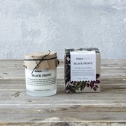 Αρωματικό Κερί 160gr - Black Peony Nima Παραφίνη