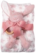 Κουβέρτα Fleece Αγκαλιάς (75x100) + Λούτρινο Greenwich Polo Club Baby 8845
