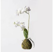 Τεχνητό Φυτό Ορχιδέα Phalaenopsis Real Touch Λευκή με Βάση Moss 40 εκ. 6070-6 Supergreens-6070-6-Λευκό 6070-6