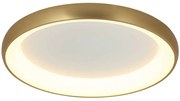 Φωτιστικό Οροφής - Πλαφονιέρα 2042 Led 3000K 30W Φ40cm Brushed Gold Matt Αλουμίνιο,Ακρυλικό