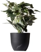 Τεχνητό Φυτό Κισσός Πανασέ 30 εκ. 8060-6 Supergreens-8060-6-Πράσινο 8060-6