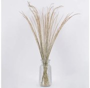 Αποξηραμένο Φυτό Χορταφιλιά SMUTGRASS 36502 GloboStar-36502-Μπεζ 36502