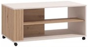 ΤΡΑΠΕΖΙ ΣΑΛΟΝΙΟΥ BELFORT CASHMERE-ARTISAN OAK 101x47x55εκ 11013552