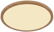 Φωτιστικό Οροφής Globo Lighting SAPANA 41562-18WW 3000K