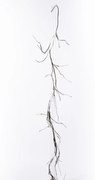 Supergreens Τεχνητό Κλαδί Αποξηραμένο Frostwood 220 εκ