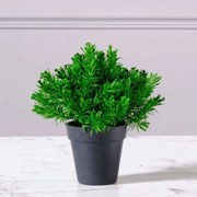 Τεχνητό Φυτό Αρωματικό 8650-6 15x20cm Green Supergreens Polyester