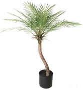 Τεχνητο Φυτό Φοίνικας 8790-6 80cm Green Supergreens Πλαστικό