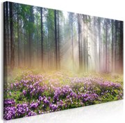 Πίνακας - Purple Meadow (1 Part) Wide 70x35