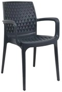 Καρέκλα Elite Fylliana Ανθρακί 54x54x90 εκ. 54x54x90 εκ.