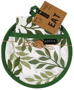 ΣΕΤ ΠΕΤΣΕΤΕΣ ΚΟΥΖΙΝΑΣ &amp; ΠΙΑΣΤΡΑ 2 ΤΕΜ. KENTIA  - POT 252