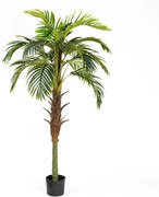 Supergreens Τεχνητό Δέντρο Φοίνικας Coconut Πράσινο 180 εκ