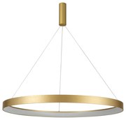 Φωτιστικό Οροφής LED Dimmable Homelighting Amaya 77-8149 Gold
