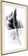 Αφίσα - Abstract Feather - 40x60 - Χρυσό - Με πασπαρτού