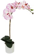 Τεχνητό Φυτό Σε Κασπώ Ορχιδέα 04-00-21029-3 47cm White-Pink Marhome Πλαστικό