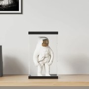 vidaXL Κουτί Βιτρίνα Διάφανο 22 x 18 x 35 εκ. Ακρυλικό