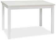 Τραπέζι κουζίνας Adam 100x60x75 λευκό ματ DIOMMI ADAMBM100 DIOMMI-80-1442