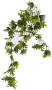 Supergreens Τεχνητό Φυτό Φίλόδενδρο Xanadu Πανασέ Πράσινο 64 εκ