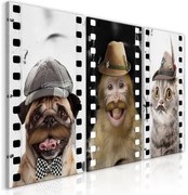 Πίνακας - Funny Pets (Collection) - 120x60