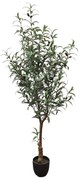 Τεχνητό Δέντρο Ελιά 7660-6 65x65x150cm Green Supergreens Polyethylene