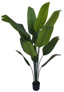 Supergreens Τεχνητό Δέντρο του Ταξιδιώτη Πράσινο 150 εκ