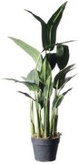 Supergreens Τεχνητό Δέντρο Πουλί του Παραδείσου Strelizia Reginas Πράσινο 100 εκ