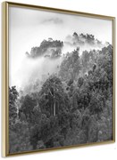 Αφίσα - Foggy Forest - 20x20 - Χρυσό - Χωρίς πασπαρτού