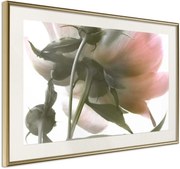 Αφίσα - Under the Flower - 60x40 - Χρυσό - Με πασπαρτού