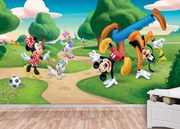 Φωτοταπετσαρία Mickey Mouse 2