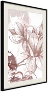 Αφίσα - Drawn Flower - 40x60 - Μαύρο - Με πασπαρτού