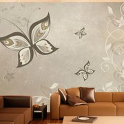 Φωτοταπετσαρία - Butterfly wings 350x245