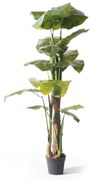 Supergreens Τεχνητό Δέντρο Αλοκάσια Elephant Ears Πράσινο 170 εκ.