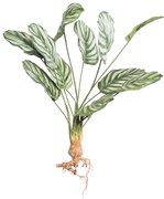 Supergreens Τεχνητή Χωνευτή Καλαθέα Orbifolia Πράσινη 61 εκ