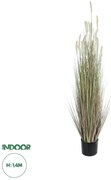 21102 GloboStar®  Artificial Garden BEIGE LAGURUS 21102 Διακοσμητικό Φυτό Μπεζ Λαγοουρά Υ140cm