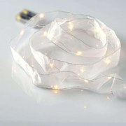 Χριστουγεννιάτικα Λαμπάκια Σειρά Ribbon 20 Led Warm X01201118 200+10cm 1,2W Με Μπαταρία Silver-White Aca