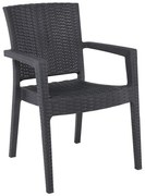 Πολυθρόνα Στοιβαζόμενη Lora-Pro Ε303,30 58x61x87cm Anthracite