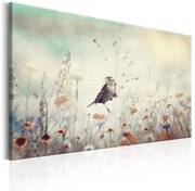 Πίνακας - Wild Meadow 60x40